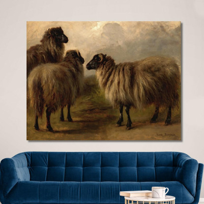 Tre Pecore Lanose Rosa Bonheur rbn52 quadro stampato su tela