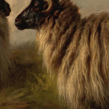 Tre Pecore Lanose Rosa Bonheur rbn52 quadro stampato su tela