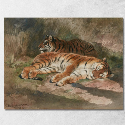 Due Tigri Sdraiate Rosa Bonheur rbn60 quadro stampato su tela
