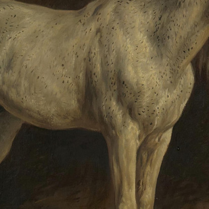 Cavallo Bianco Rosa Bonheur rbn64 quadro stampato su tela