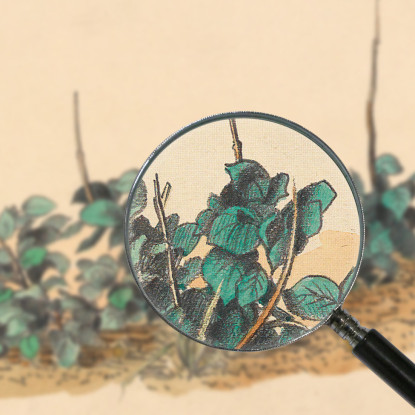 Piante Verdi Senza Titolo Karl Wiener kwn529 quadro stampato su tela