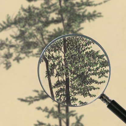 Albero Deciduo Senza Titolo 2 Karl Wiener kwn557 quadro stampato su tela