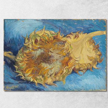 Due Girasoli Tagliati Vincent van Gogh vvg32 quadro stampato su tela