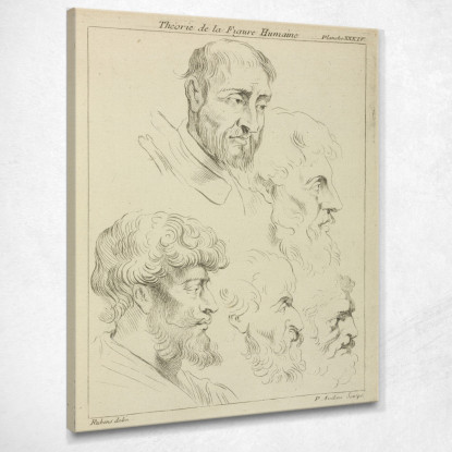 Cinque Studi Di Teste Maschili Quattro Di Profilo Peter Paul Rubens ppr73 quadro stampato su tela