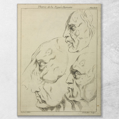 Quattro Volti Tre Umani Un Cavallo Di Profilo Peter Paul Rubens ppr74 quadro stampato su tela