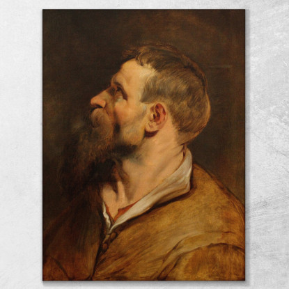 Testa Di Uomo Barbuto Peter Paul Rubens ppr81 quadro stampato su tela