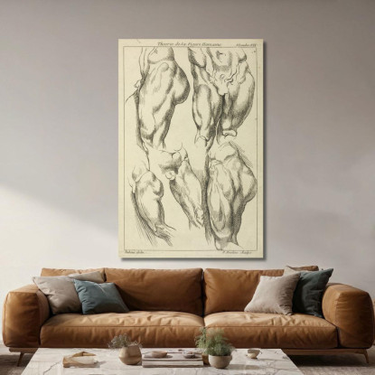 Studi Sui Lombi Maschili Peter Paul Rubens ppr184 quadro stampato su tela