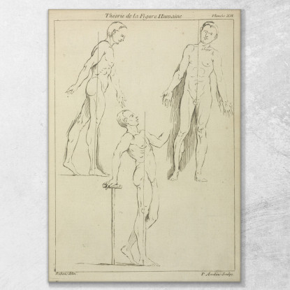 Tre Figure In Piedi Viste Di Lato E Di Fronte Peter Paul Rubens ppr297 quadro stampato su tela