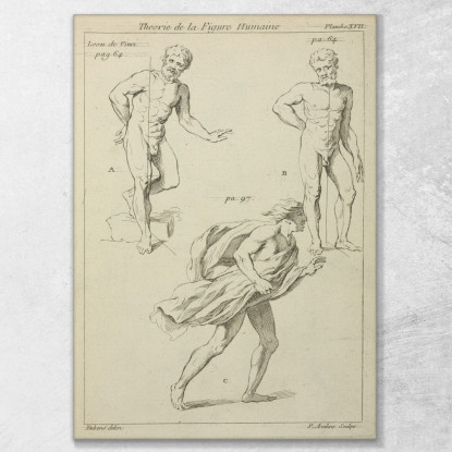 Tre Studi Di Figura Peter Paul Rubens ppr303 quadro stampato su tela