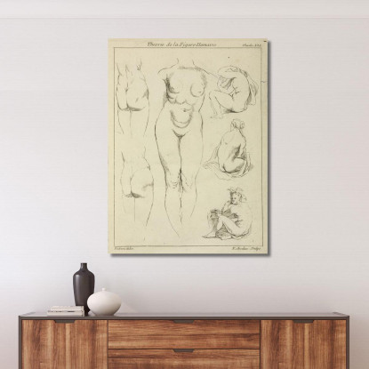 Studies Of The Female Torso Buttocks And Seated Figures Dorsal View Peter Paul Rubens canvas print