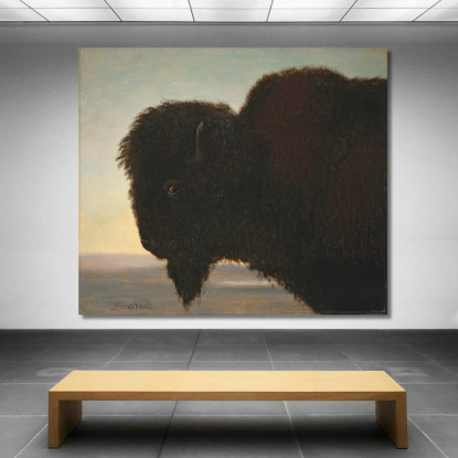 Testa Di Bufalo Albert Bierstadt abr7 quadro stampato su tela