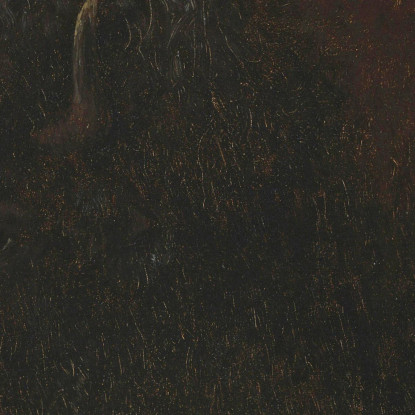 Testa Di Bufalo Albert Bierstadt abr7 quadro stampato su tela