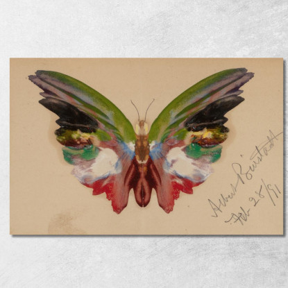 Farfalla 2 Albert Bierstadt abr8 quadro stampato su tela