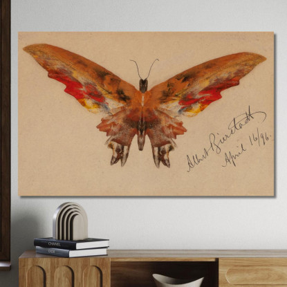 Farfalla Albert Bierstadt abr10 quadro stampato su tela