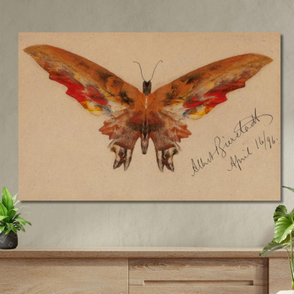 Farfalla Albert Bierstadt abr10 quadro stampato su tela