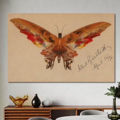 Farfalla Albert Bierstadt abr10 quadro stampato su tela