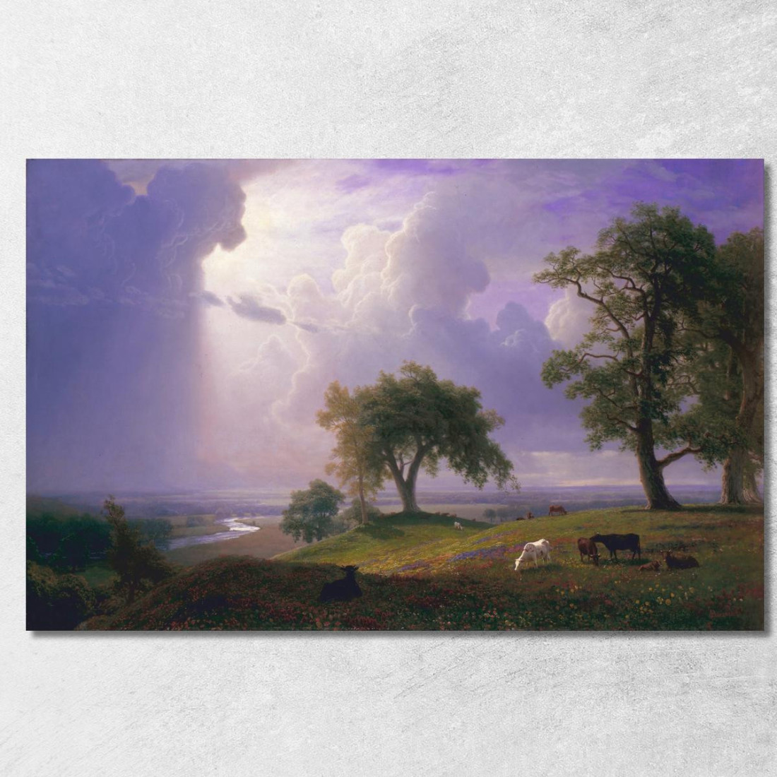 Primavera Californiana Albert Bierstadt abr12 quadro stampato su tela
