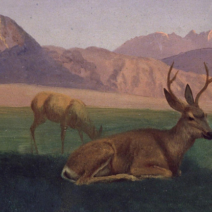 Cervo Albert Bierstadt abr20 quadro stampato su tela