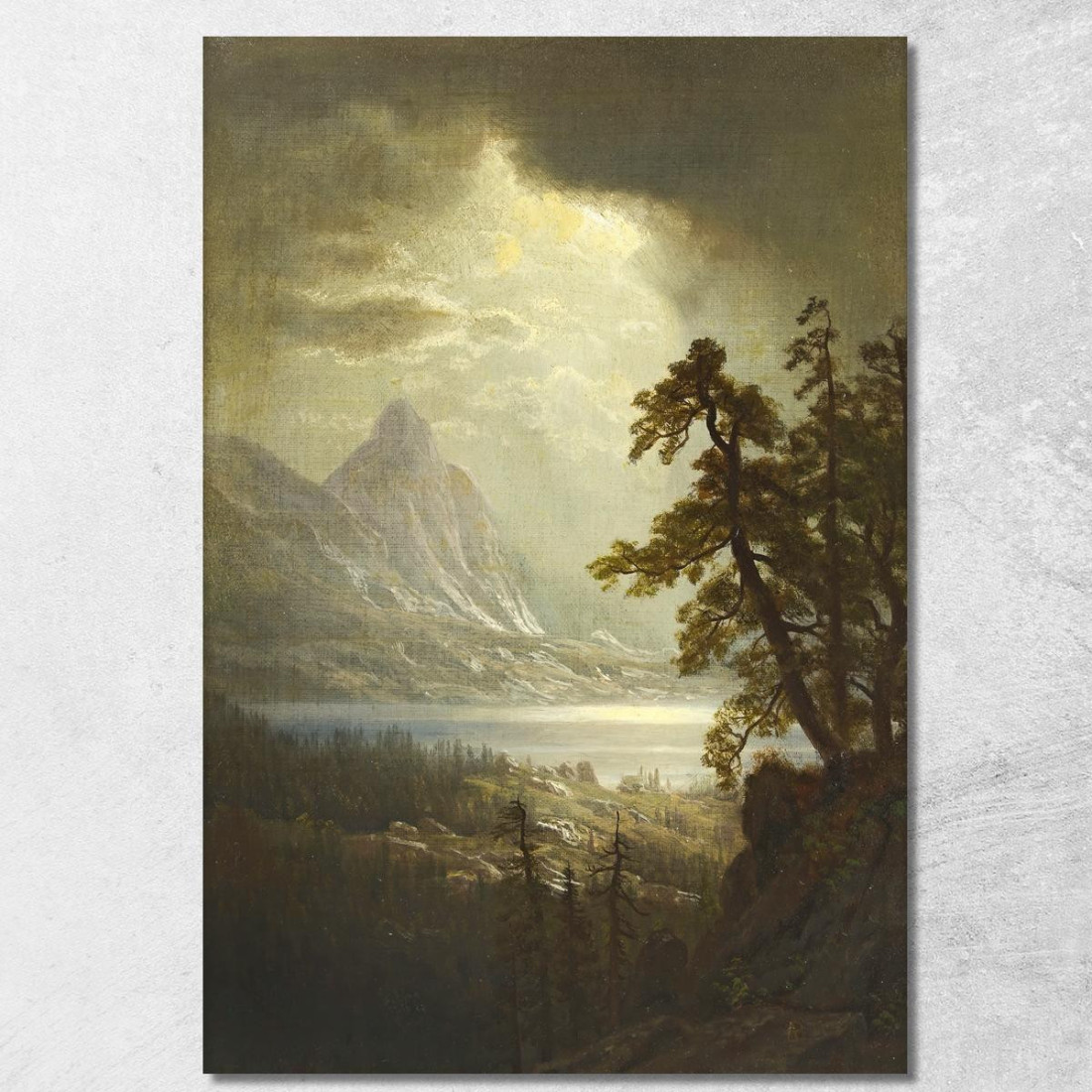 Estes Park Mattina Colorado Albert Bierstadt abr21 quadro stampato su tela