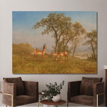 Antilope Al Pascolo Albert Bierstadt abr30 quadro stampato su tela