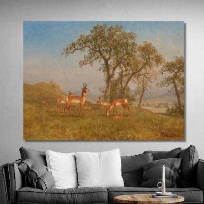 Antilope Al Pascolo Albert Bierstadt abr30 quadro stampato su tela