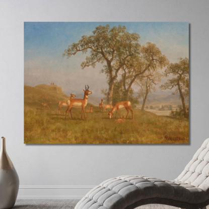Antilope Al Pascolo Albert Bierstadt abr30 quadro stampato su tela