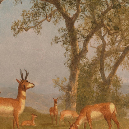Antilope Al Pascolo Albert Bierstadt abr30 quadro stampato su tela