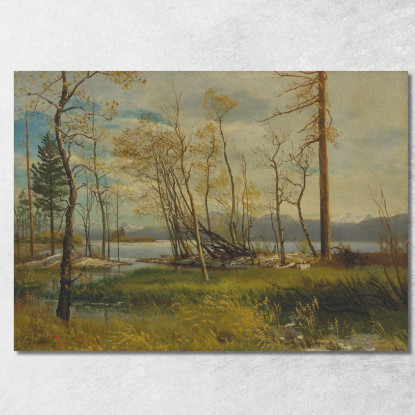 Lago Tahoe 2 Albert Bierstadt abr45 quadro stampato su tela
