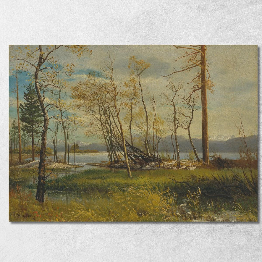 Lago Tahoe 2 Albert Bierstadt abr45 quadro stampato su tela