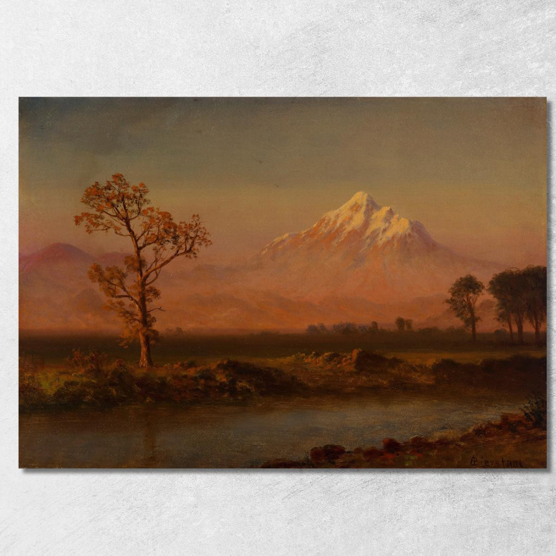 Monte Cofano Albert Bierstadt abr61 quadro stampato su tela