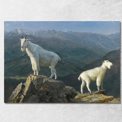 Capre Di Montagna Albert Bierstadt abr67 quadro stampato su tela