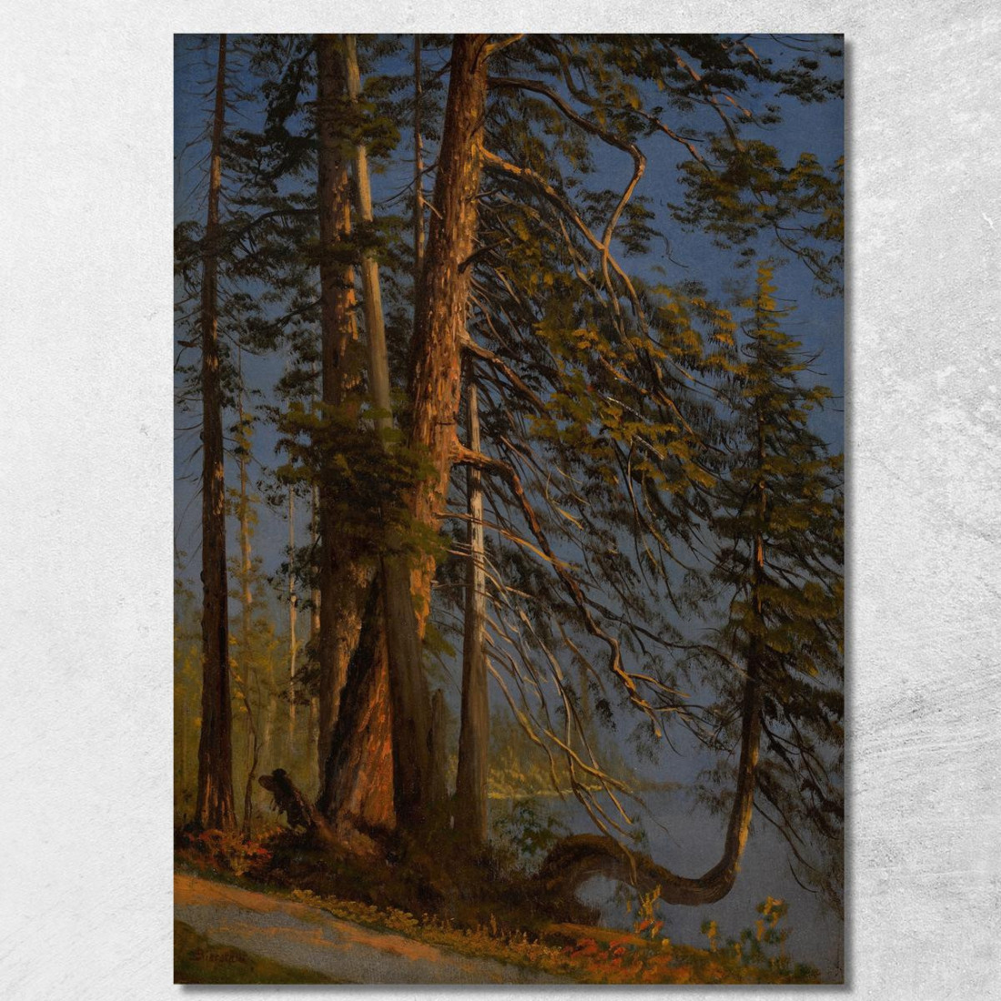 Parcheggiare A Vancouver Albert Bierstadt abr80 quadro stampato su tela