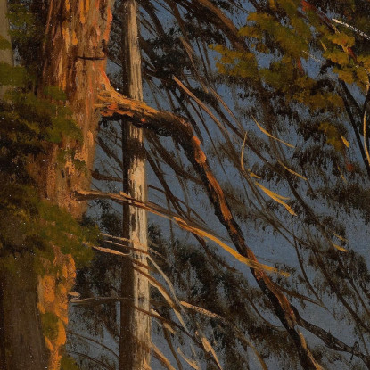 Parcheggiare A Vancouver Albert Bierstadt abr80 quadro stampato su tela