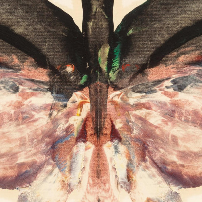 Farfalla Rosa Albert Bierstadt abr81 quadro stampato su tela