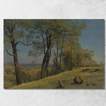 Contea Di Rockland California Albert Bierstadt abr82 quadro stampato su tela