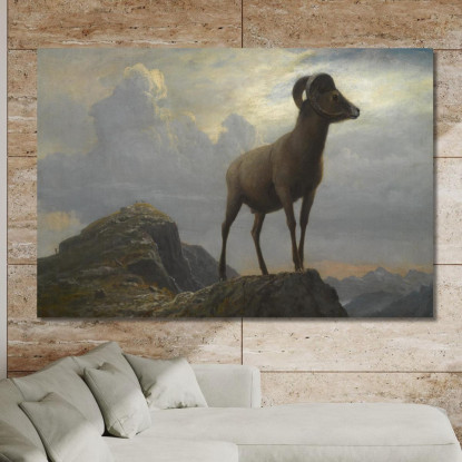 Studio Di Un Ariete Bighorn Albert Bierstadt abr93 quadro stampato su tela