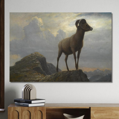 Studio Di Un Ariete Bighorn Albert Bierstadt abr93 quadro stampato su tela