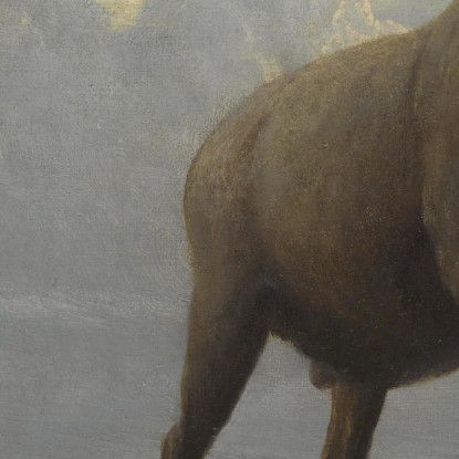 Studio Di Un Ariete Bighorn Albert Bierstadt abr93 quadro stampato su tela