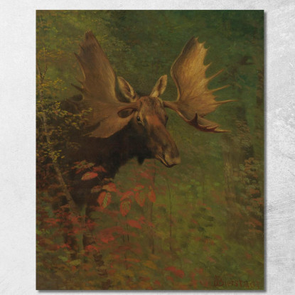 Studio Di Un Alce Albert Bierstadt abr94 quadro stampato su tela