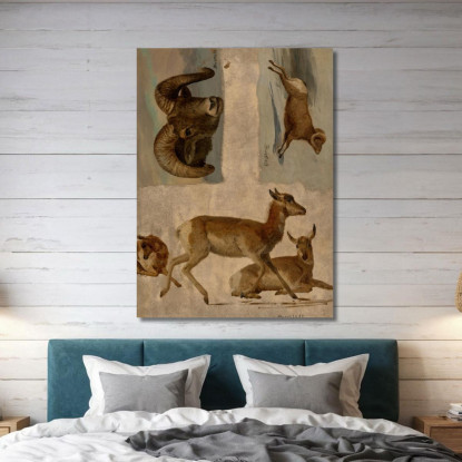 Studio Delle Pecore Bighorn E Delle Antilopi Albert Bierstadt abr95 quadro stampato su tela