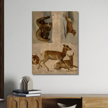 Studio Delle Pecore Bighorn E Delle Antilopi Albert Bierstadt abr95 quadro stampato su tela