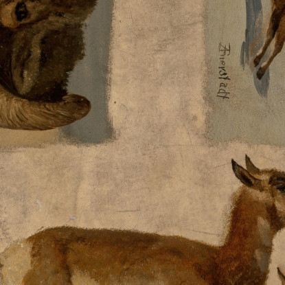 Studio Delle Pecore Bighorn E Delle Antilopi Albert Bierstadt abr95 quadro stampato su tela