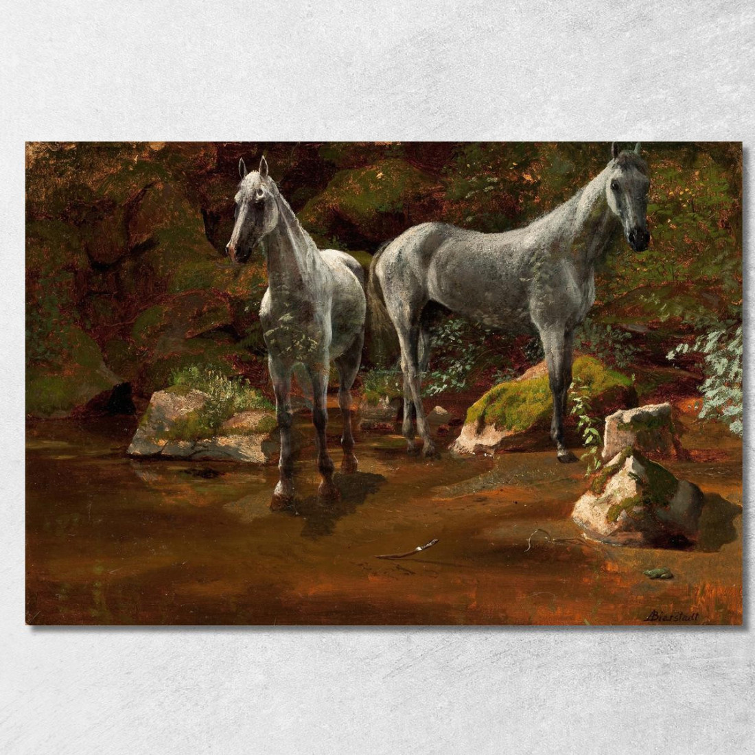 Studio Dei Cavalli Selvaggi Albert Bierstadt abr98 quadro stampato su tela