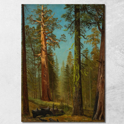 La Sequoia Gigante Grizzly Mariposa Grove California Albert Bierstadt abr107 quadro stampato su tela
