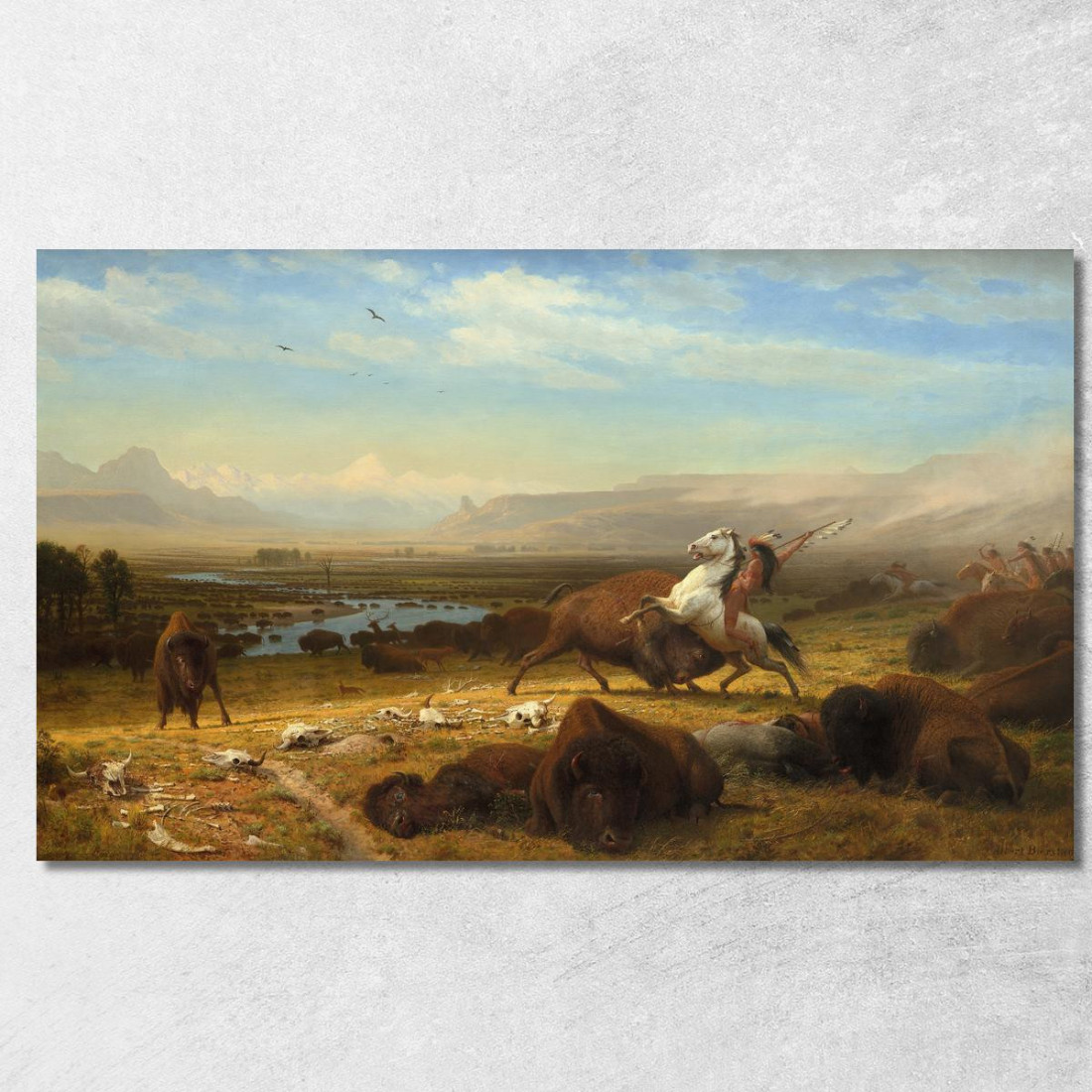 L'Ultimo Dei Bufali Albert Bierstadt abr108 quadro stampato su tela