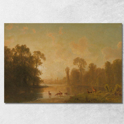 Crepuscolo Con Cervi Albert Bierstadt abr118 quadro stampato su tela