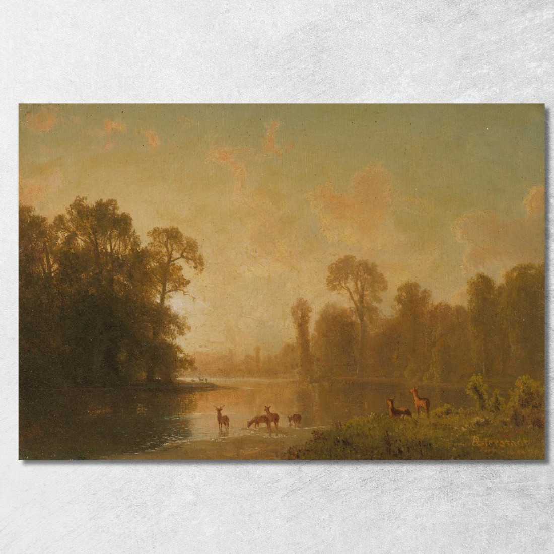 Crepuscolo Con Cervi Albert Bierstadt abr118 quadro stampato su tela