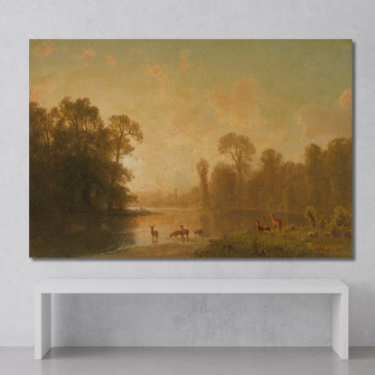 Crepuscolo Con Cervi Albert Bierstadt abr118 quadro stampato su tela