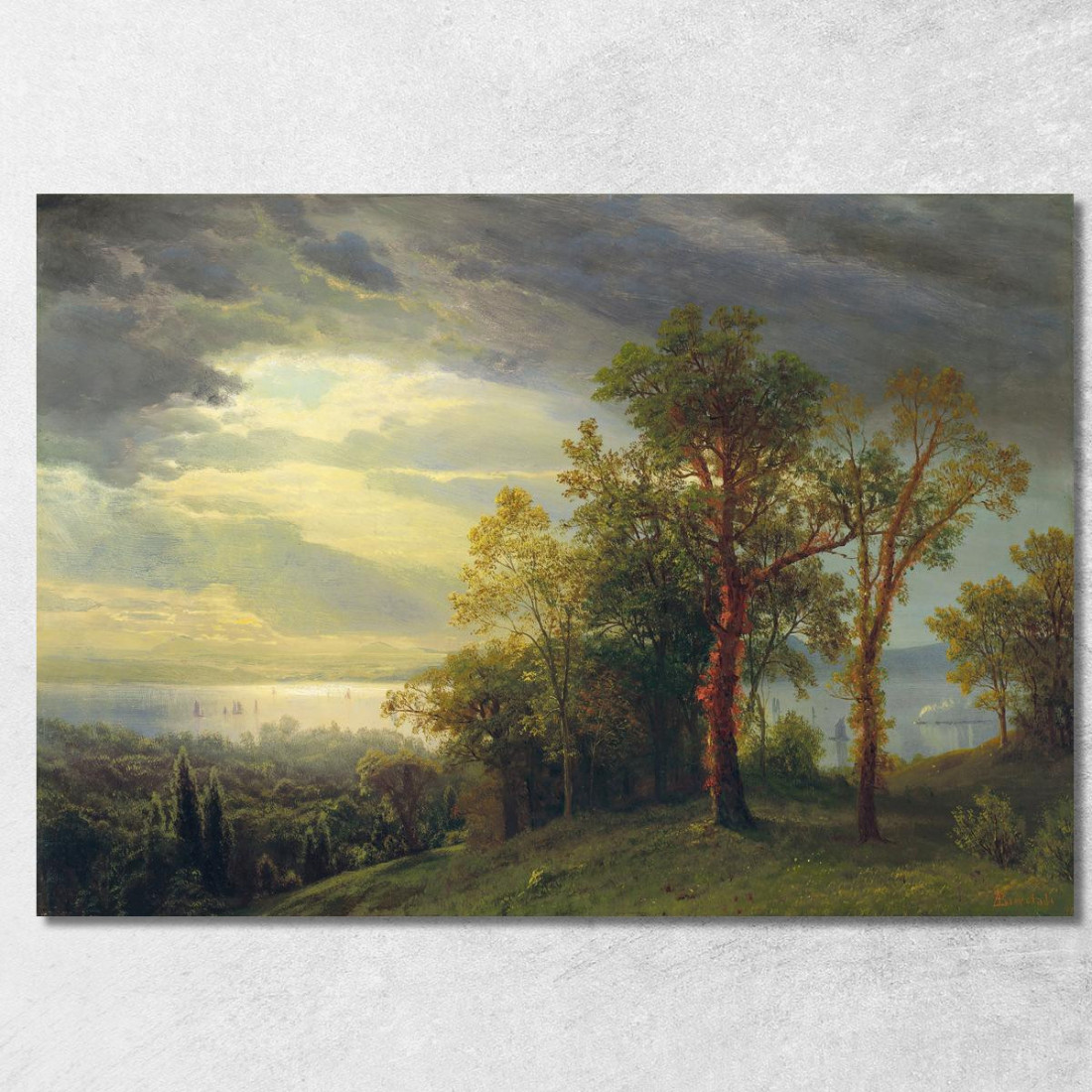 Vista Sull'Hudson Albert Bierstadt abr128 quadro stampato su tela