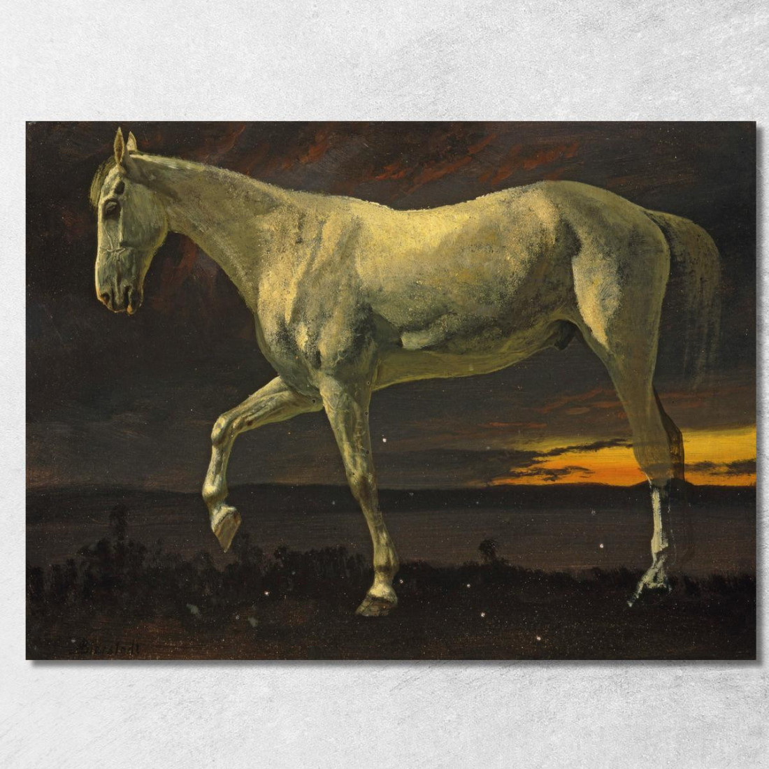 Cavallo Bianco E Tramonto Albert Bierstadt abr129 quadro stampato su tela